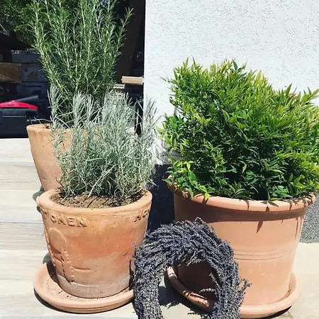 Mokus Apartmanhaz בית נופש באלאטונסארסו