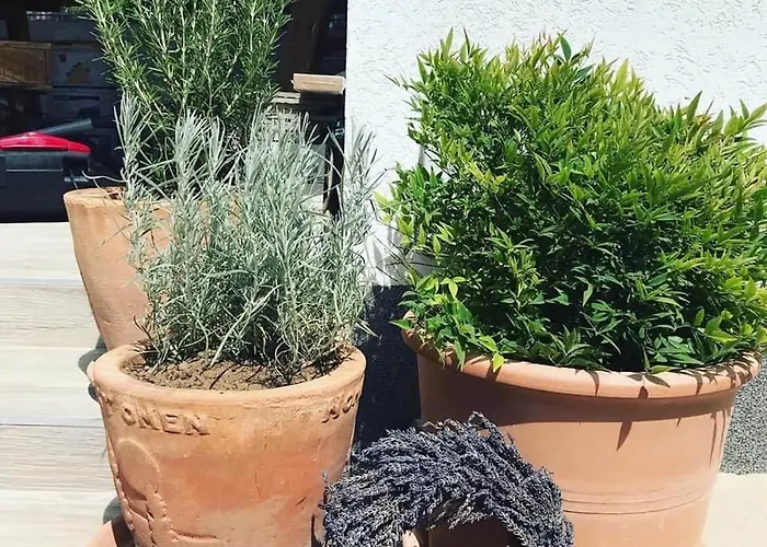 Mokus Apartmanhaz بيت للعطل بالاتونسزارسكو