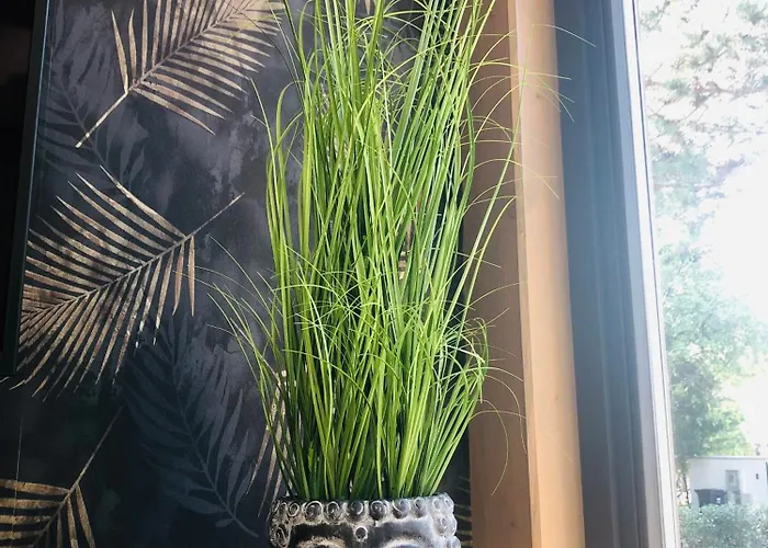 Semesterbostad Mokus Apartmanhaz